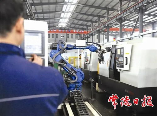 引金融活水，潤(rùn)產(chǎn)業(yè)之花——常德財(cái)政推動(dòng)非融資性擔(dān)保服務(wù)高質(zhì)量發(fā)展